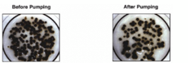Oil Droplets when pumped with Progressing Cavity Pump source:onepetro.org